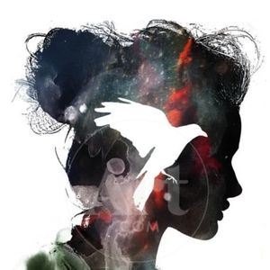 Meet your Posher, Nessa may